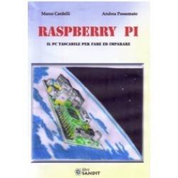 RASPBERRY PI