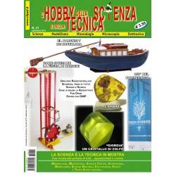 Numero 31 - l'hobby della scienza e della tecnica