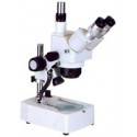 Microscopi stereoscopici